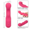 Calexotics - Pixies Curvy Rose